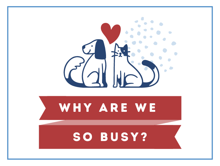 Why are we so busy?
