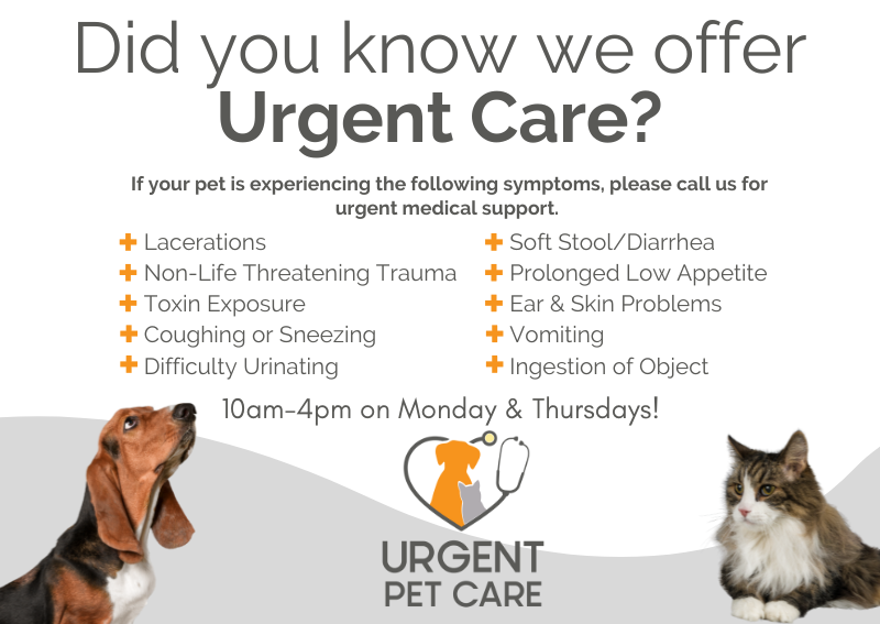 Carousel Slide 2: Urgent Care Hours