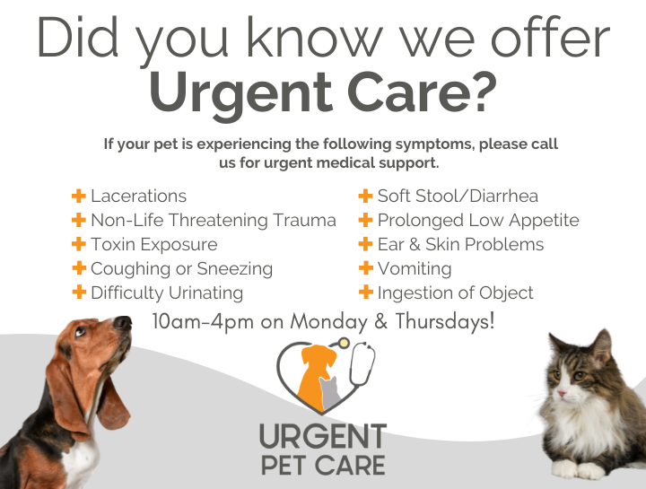 Urgent Care Hours